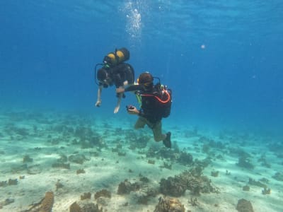 Primera inmersión en Port-Louis, Guadalupe