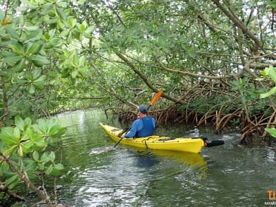 Sea kayak excursion from Morne-à-l'Eau, Guadeloupe