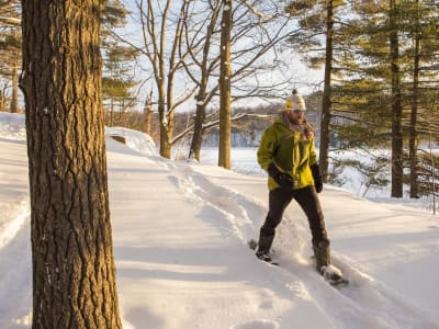 Snowshoe rental at Mont-St-Bruno park, Montréal