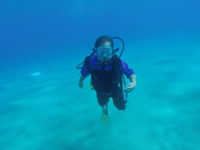 Découvrez la plongée sous-marine sur la plage de Mirtos près de Ierapetra en Crète.