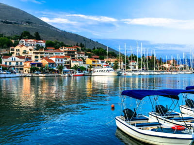 Island Highlights Sightseeing Tour in Kefalonia