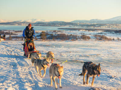 Paseo en trineo tirado por perros en Kvaløya desde Tromsø