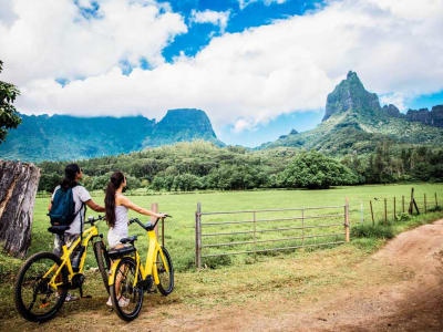 Geführte Besichtigung des Belvedere mit dem Elektrofahrrad in Moorea