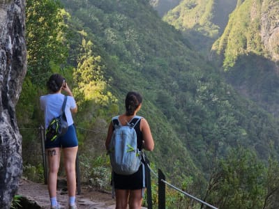 Geführter Wanderausflug entlang der Levada do Caldeirão Verde (Ponta Delgada), Madeira