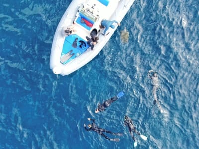 Bootstour und Schnorchelausflug zu den untergetauchten Lavazungen in Las Galletas, Teneriffa