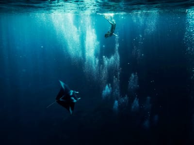 Snorkeling dans le lagon de Bora Bora, Polynésie française