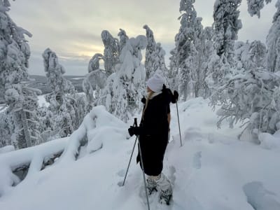 Excursión con raquetas de nieve al lago Immel en la Laponia de Levi
