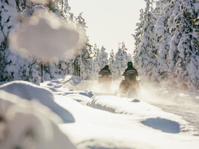 Excursion en motoneige dans la forêt de Rovaniemi