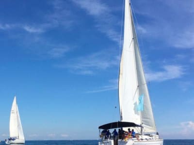 paseo en barco privado desde el Puerto de Valencia!