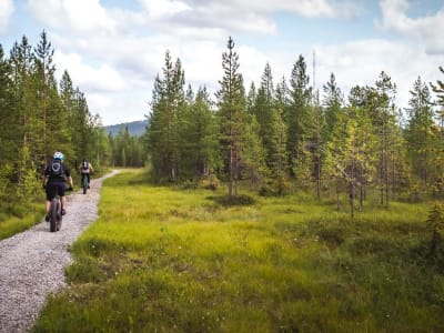 Visite multi-activités du parc national de Pyhä-Luosto