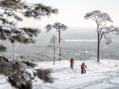 Guided Fat bike Tour in Pyhä-Luosto National Park from Pyhä