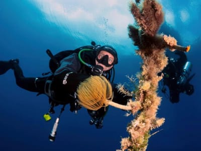 Entdecken Sie das Tauchen in San Vito Lo Capo, Sizilien