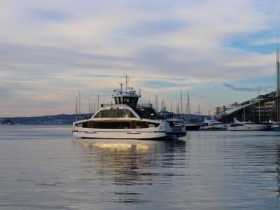 Oslofjord Sightseeing Cruise from Oslo City Hall