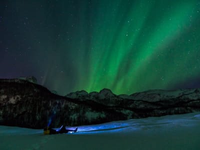 Nordlicht-Ausflug mit dem Minivan in Alta