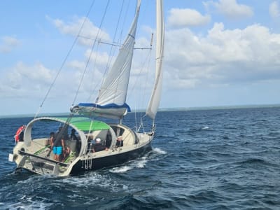 Sailing in the Grand Cul-de-sac Marin Nature Reserve from Baie-Mahault