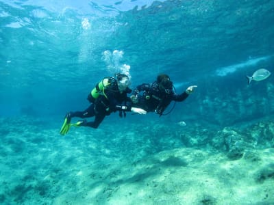 Discover Scuba Diving in Mellieha Bay, Malta