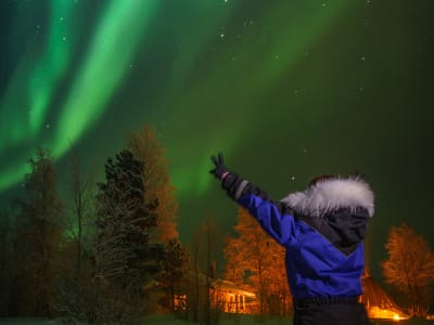 Aurora Boreal y experiencia con renos desde Ivalo