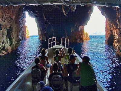 Excursión en barco a las Calanques de Piana desde Oporto, Córcega