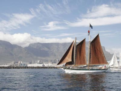 Cruise and Dinner from the Victoria & Alfred Waterfront Harbour in Cape Town