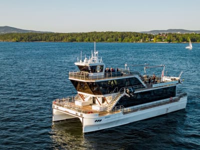 Croisière électrique dans les fjords au départ d'Oslo