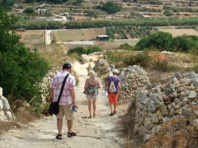 Randonnée privée dans la vallée de la Mistra et à Selmun, près de Mellieha