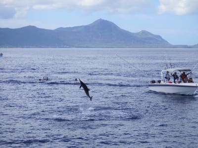 Observation des baleines à l'Île Maurice depuis Grande Rivière Noire