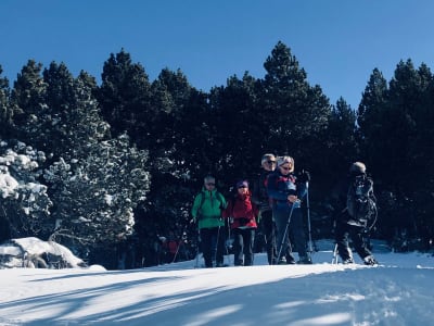 Schneeschuhwandern in Les Angles, Pyrénées-Orientales