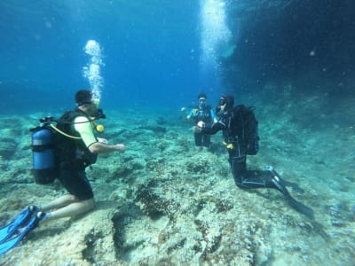 PADI Discover Scuba Diving Course in Mellieha Bay, Malta