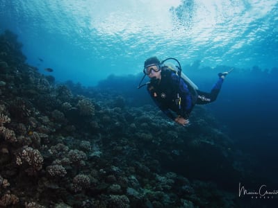 Level 1 Scuba Dive Course in Tahiti