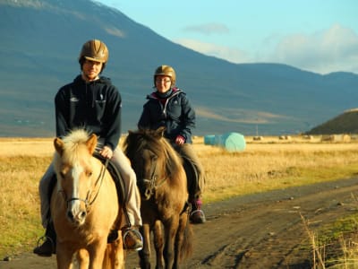 Excursión a caballo por Sagafjordur, cerca de Varmahlid (Islandia)