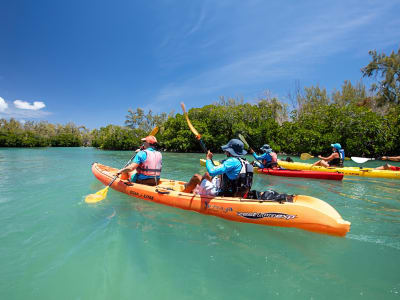 Entdeckung von Amber Island mit dem Seekajak, Mauritius