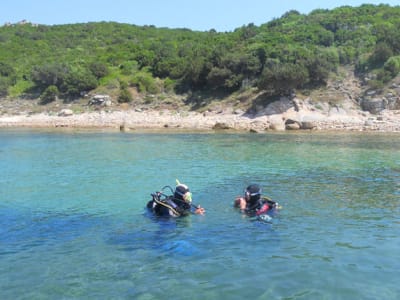 Schnuppertauchkurs in La Maddalena, Sardinien