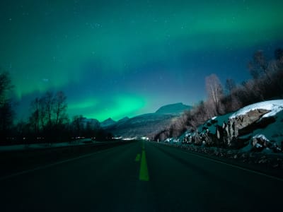 Nordlichterjagd mit dem Bus von Tromsø