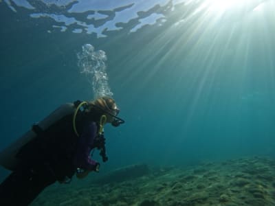 Entdecken Sie das Tauchen in Mononaftis mit Abfahrt von Heraklion