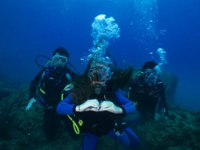 Découvrez la plongée sous-marine à Porto Venere, Cinque Terre