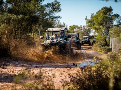 Excursion en buggy hors route et sur route depuis Son Oms près de Palma, Majorque