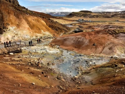 Reykjanes Geopark Tour from Reykjavík