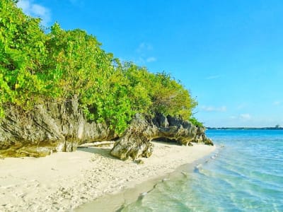 Excursion to Ile aux Aigrettes, Gris Gris Beach, and the southeast of Mauritius