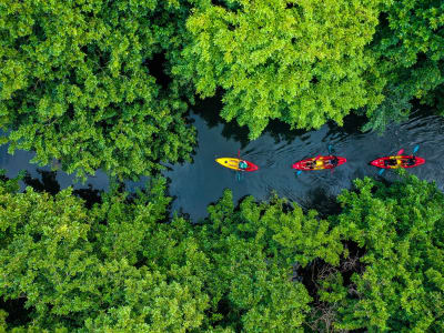 Canoeing excursion on the Tamarin River in Mauritius