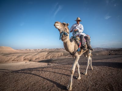 Quad bike and Camel combo tour to Jbilets, Morocco