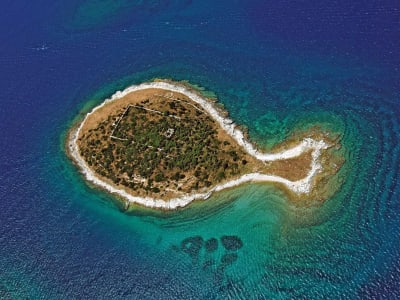 Balade en bateau privée au parc national de Brijuni depuis Fažana près de Pula