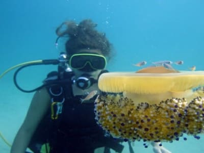 Cours de plongée IANTD Open Water à Corfou