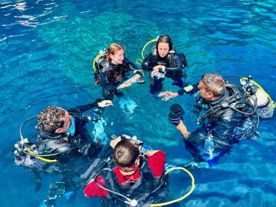 PADI Scuba Diving Kurs in Ustica, Sizilien