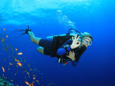 Autonomous Exploration Dives in the Bay of Saint-Leu, Reunion Island