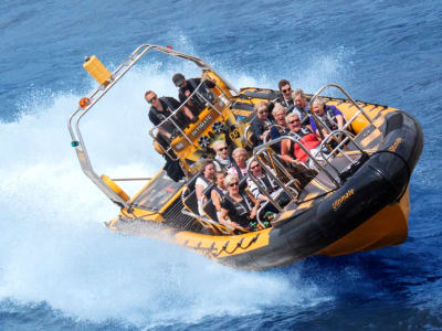 Jet Boating sur la barrière de la Tamise