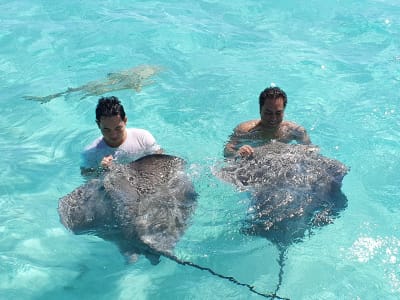 Bootsausflug und Schnorcheln in der Lagune von Moorea