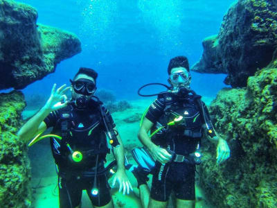 Découvrez la plongée sous-marine à Ios depuis la plage de Mylopotas