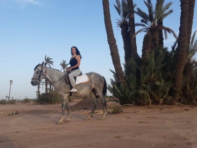 Balade à cheval dans la Palmeraie, Marrakech