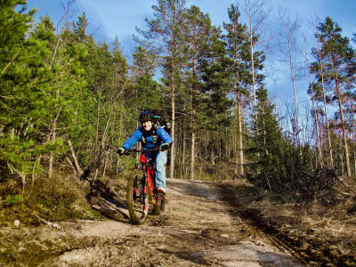 Randonnée en VTT à Lillomarka près d'Oslo