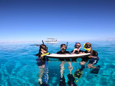 Excursion dauphins et snorkeling à Tahiti